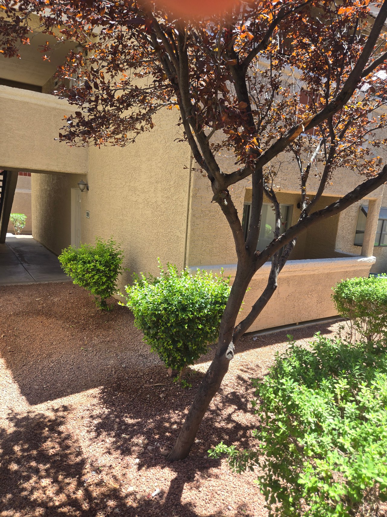 7200 West Pirates Cove Road #1009