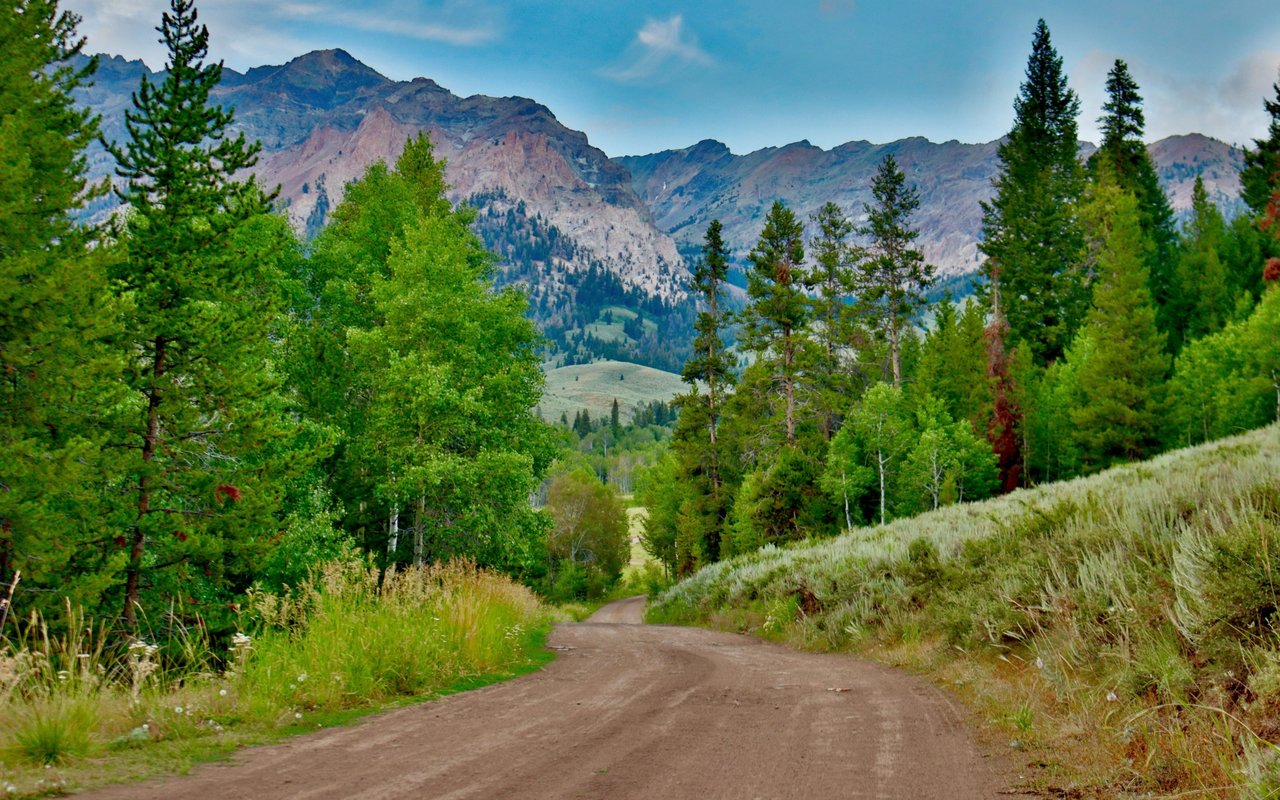 Local Teens Blazing Trails In Sun Valley