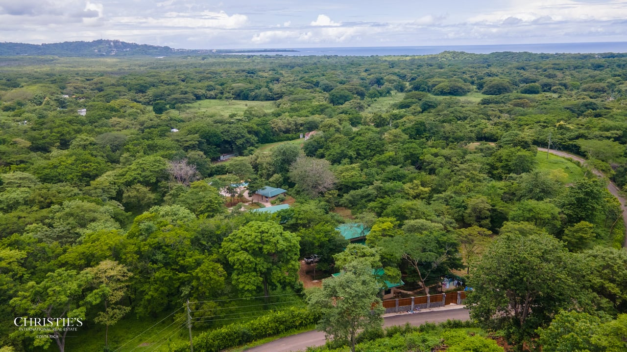Tropical Villas Estate: A Unique Opportunity with 4 Private Villas