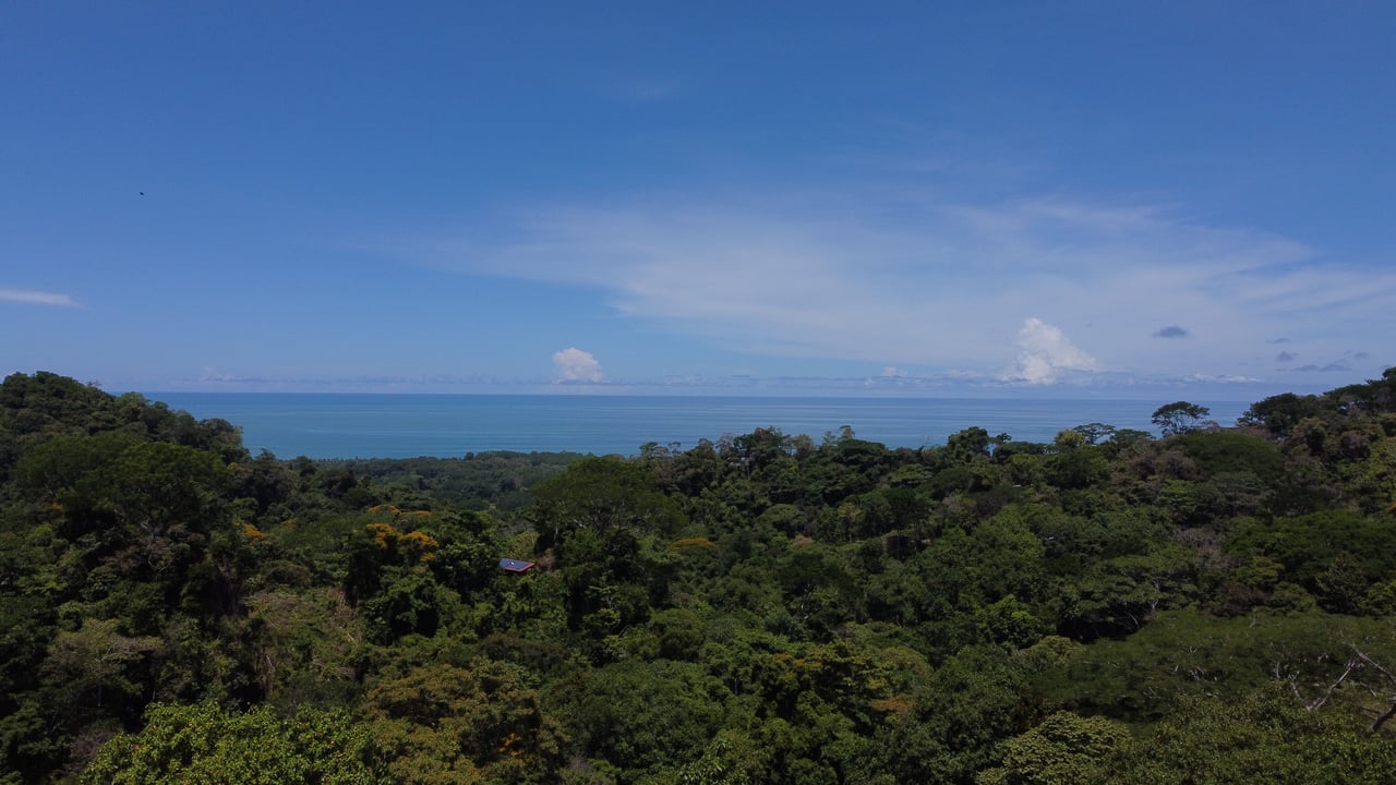 Ocean View Sanctuary in Paradise Breezes, Hatillo