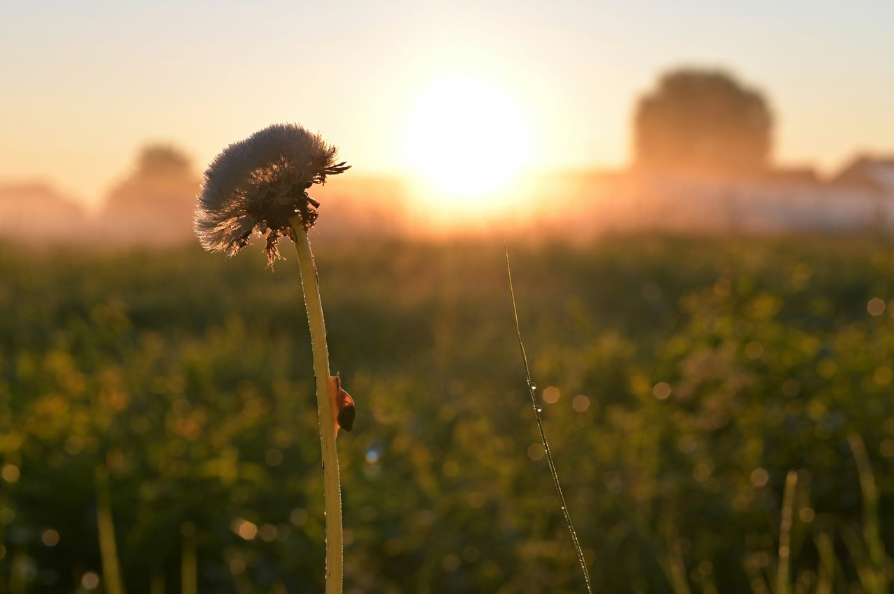 Slow Out of the Gate? The 2026 Start