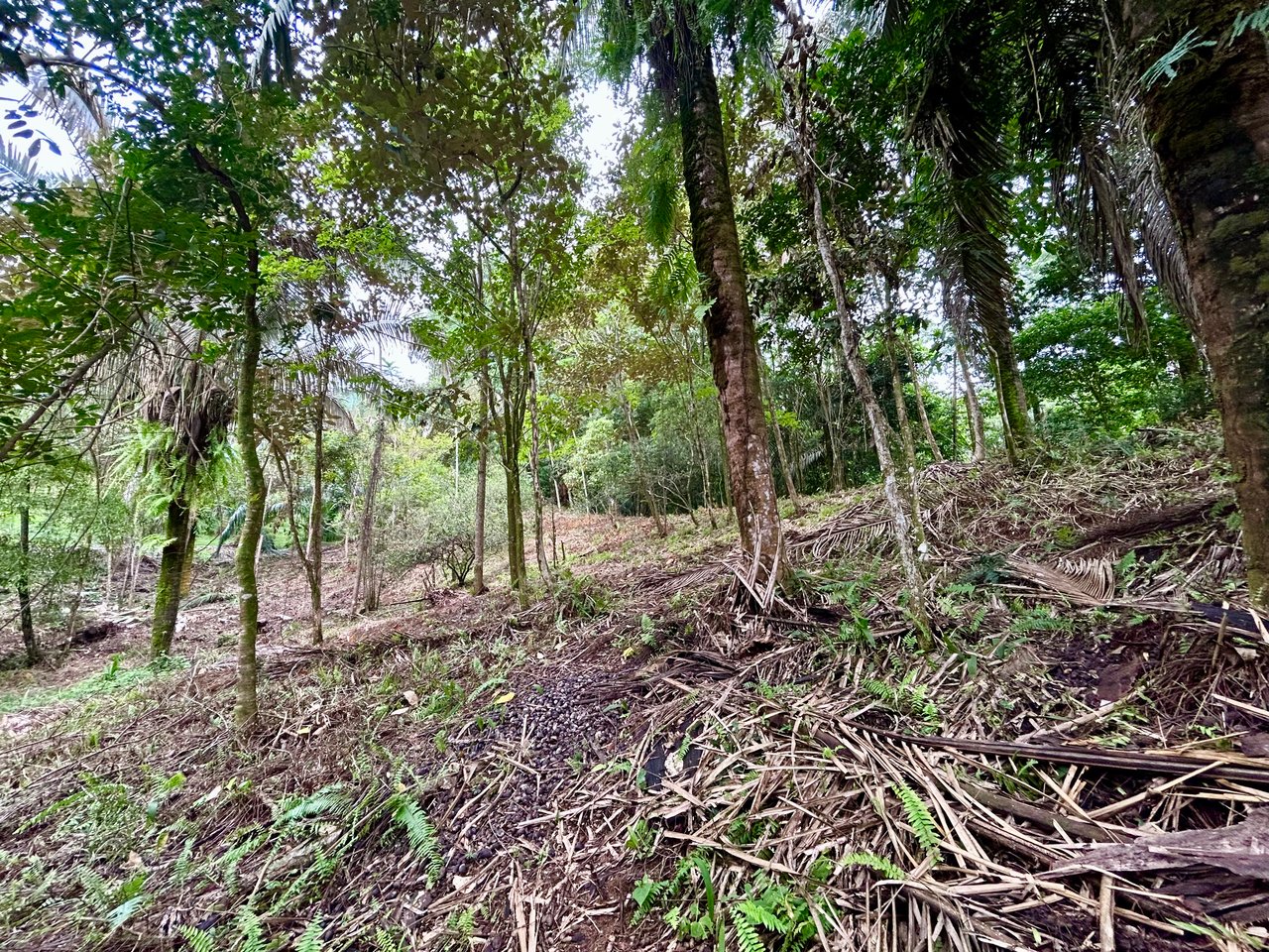 Over 1.4 Acres in Playa Hermosa – Just 5 Minutes from the Beach!