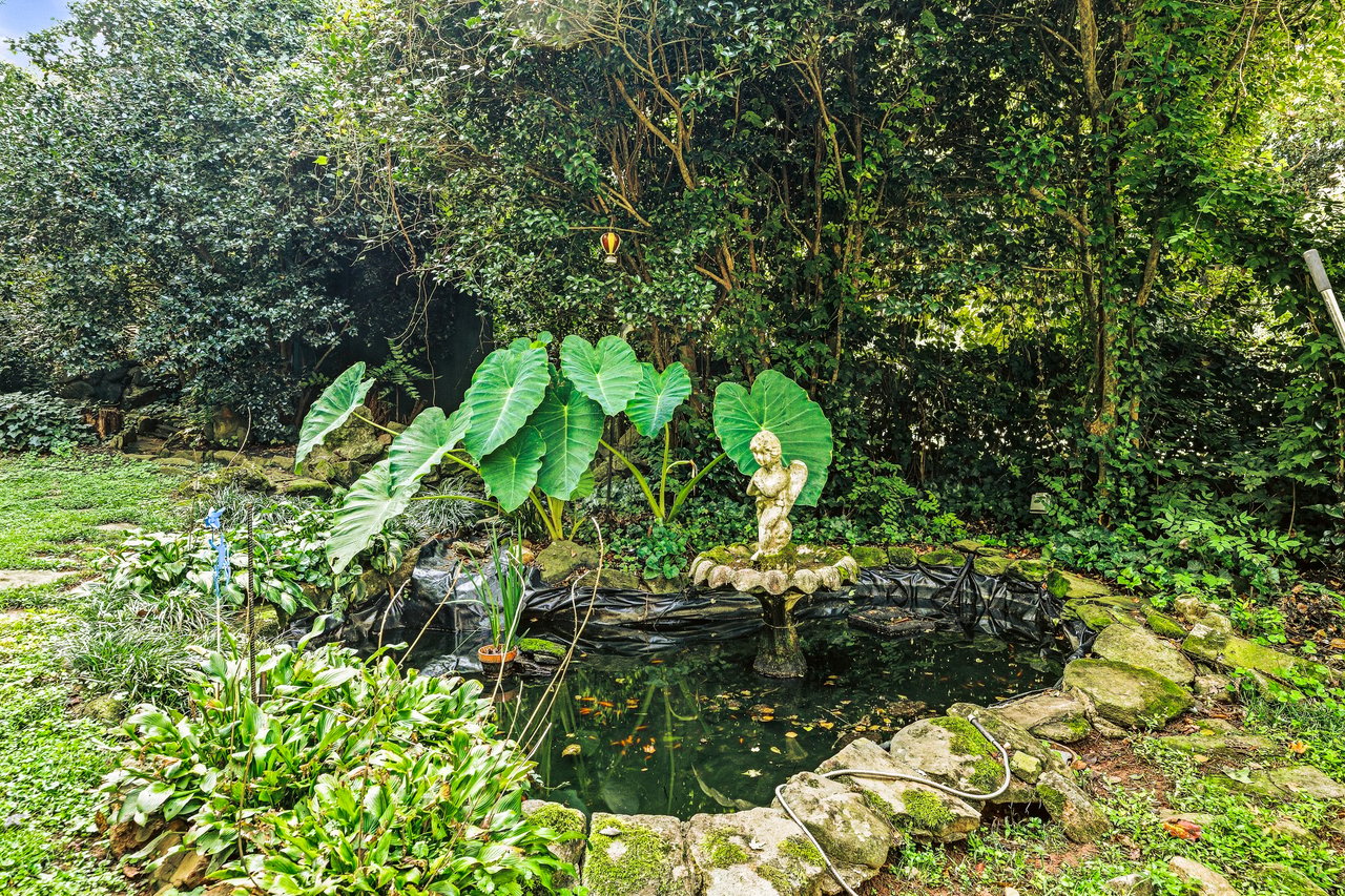 Landscaped garden pond edged with stone, surrounded by broad-leaf plants and dense greenery.