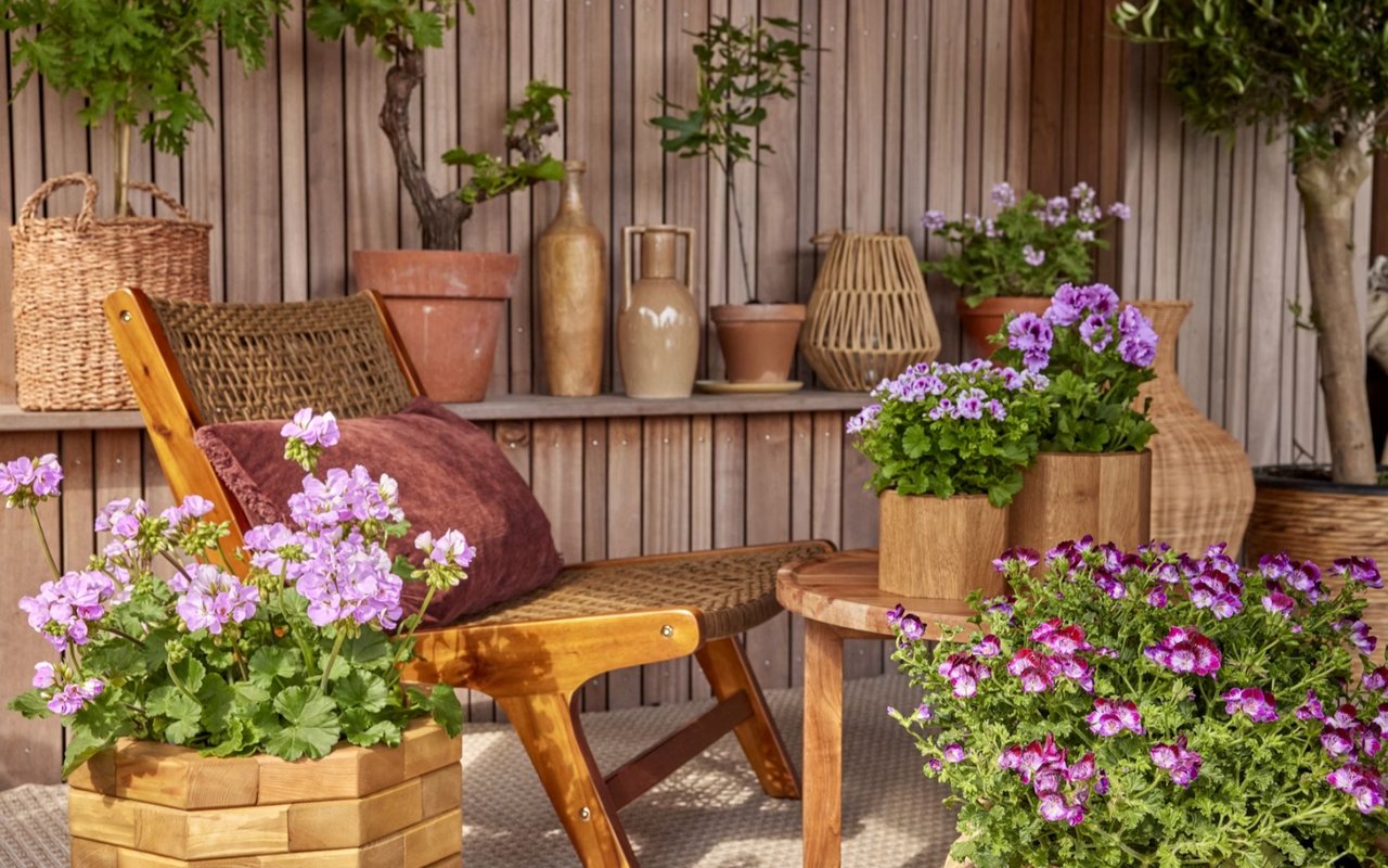 Creating the Perfect Outdoor Living Space in Arlington