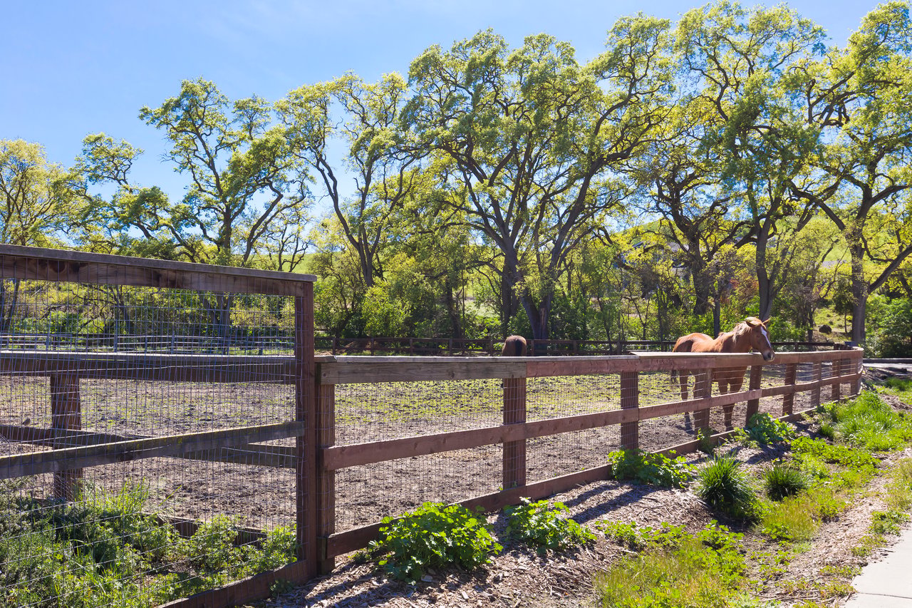 The Preserve