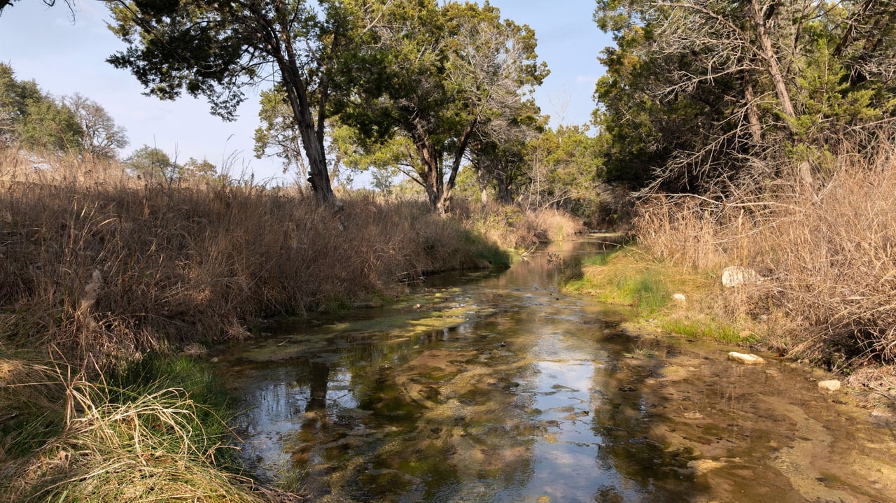 5416 Spring Preserve Trail