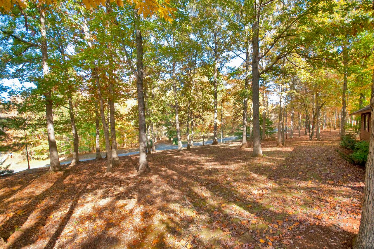 Earlysville Forest