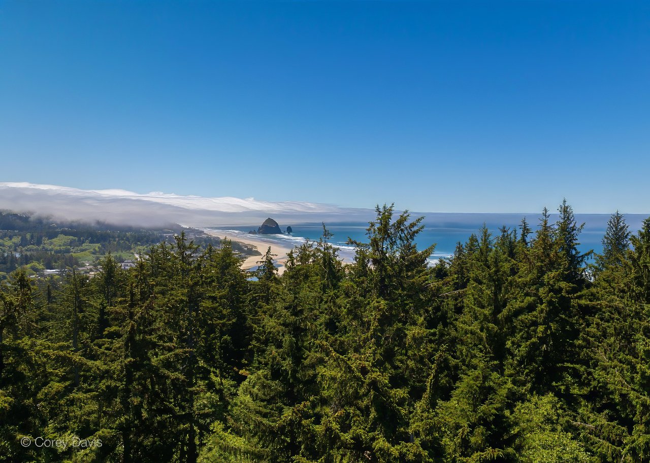 Sold 36.15-acre wooded coastal land property at 83655 N Spruce St in Cannon Beach, Oregon