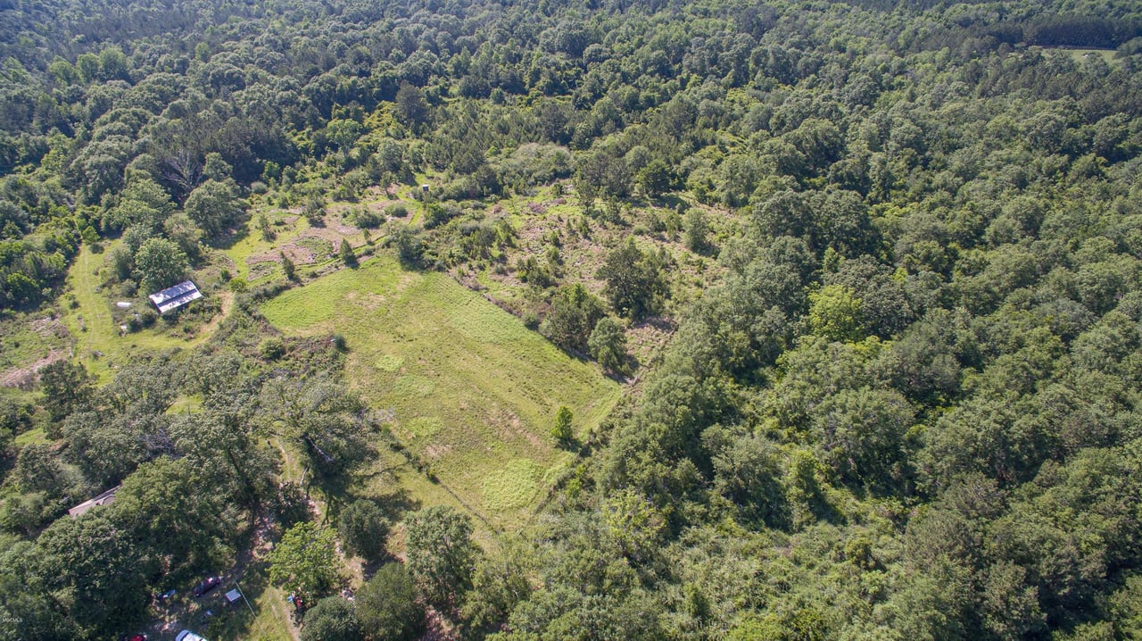 32331 Carey Smith Rd