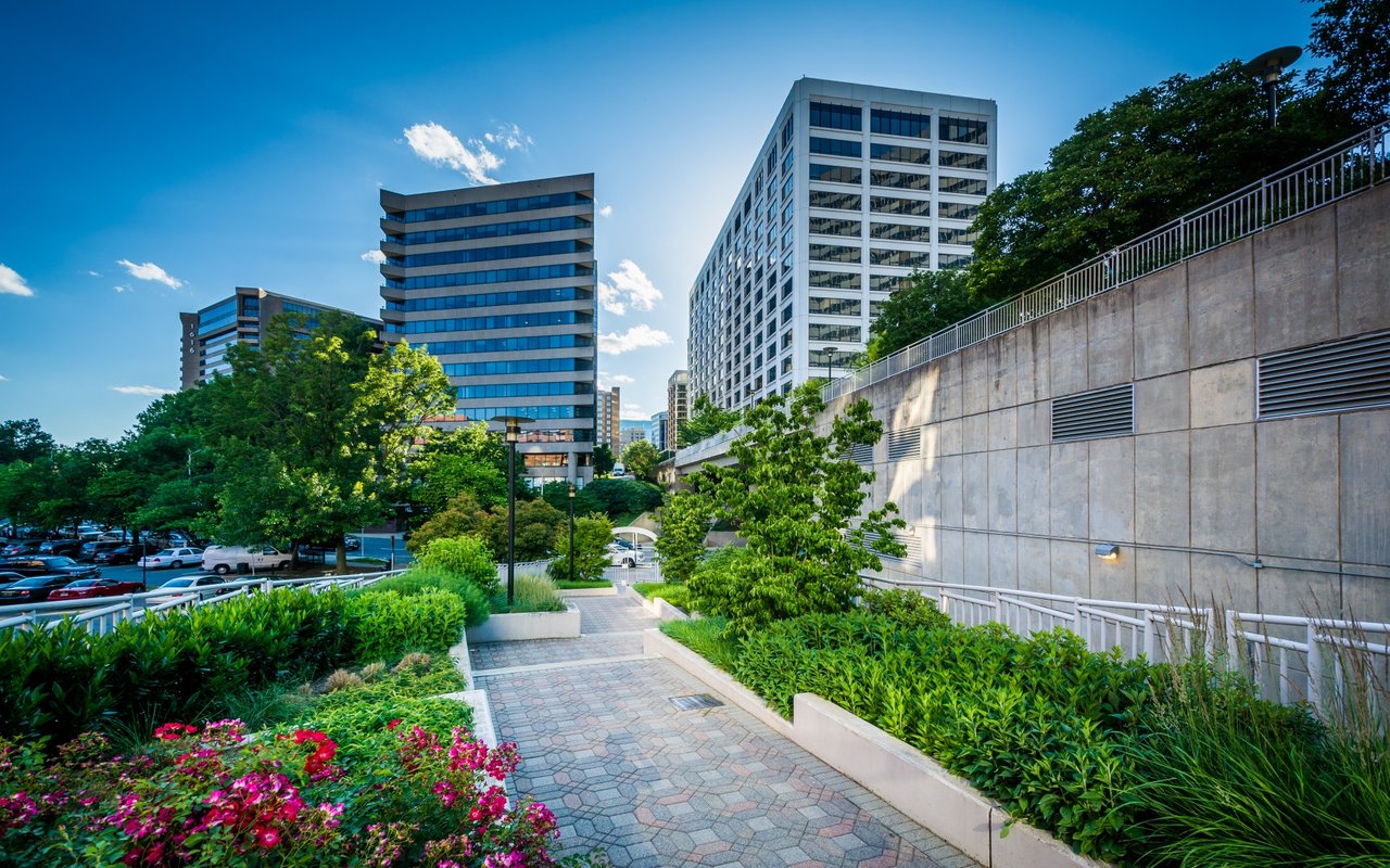 Arlington