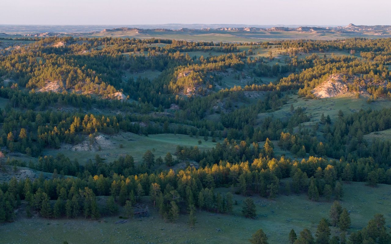 Elk Rich Ranch