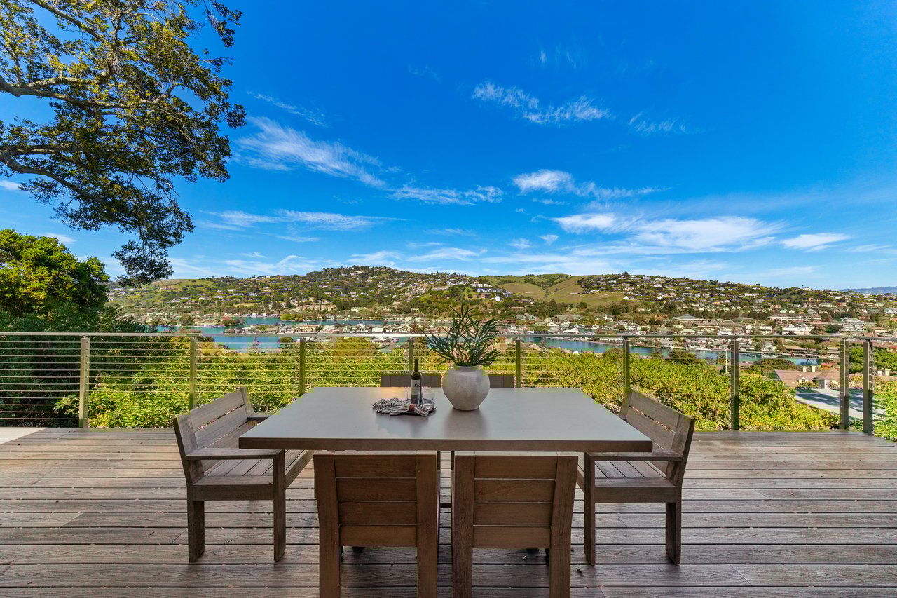 Contemporary Gem on Belvedere Island