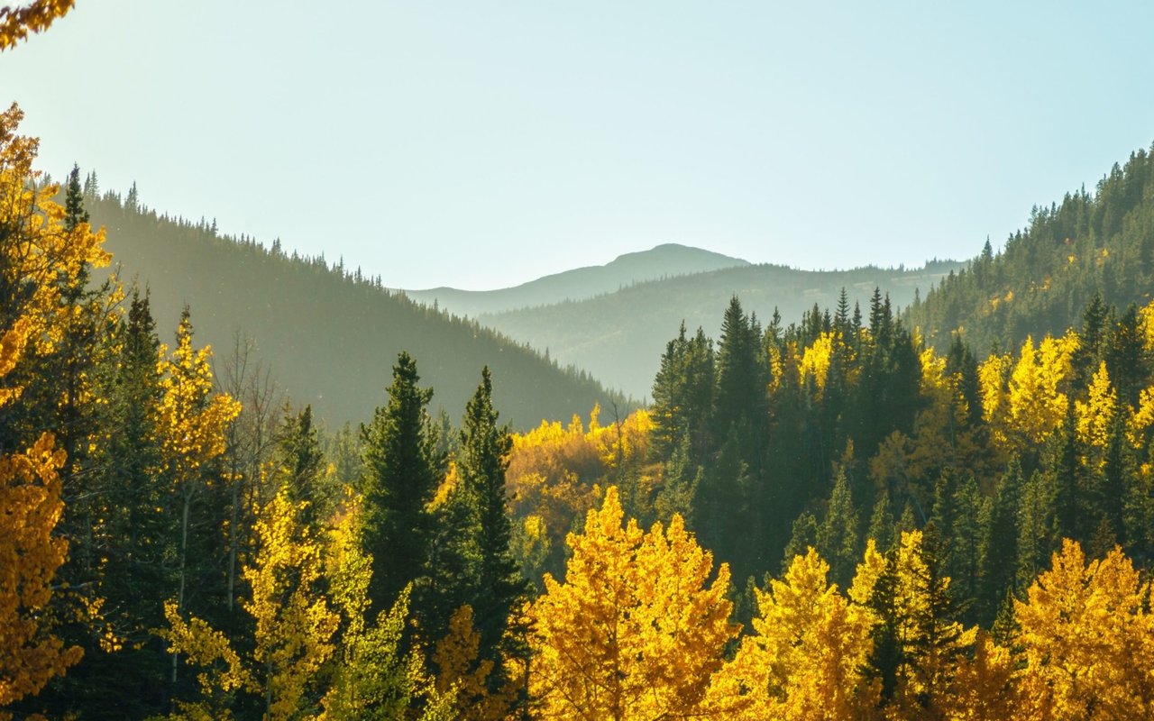 Agents Respond: Favorite Fall Getaways Within 2 Hours Of Charlotte