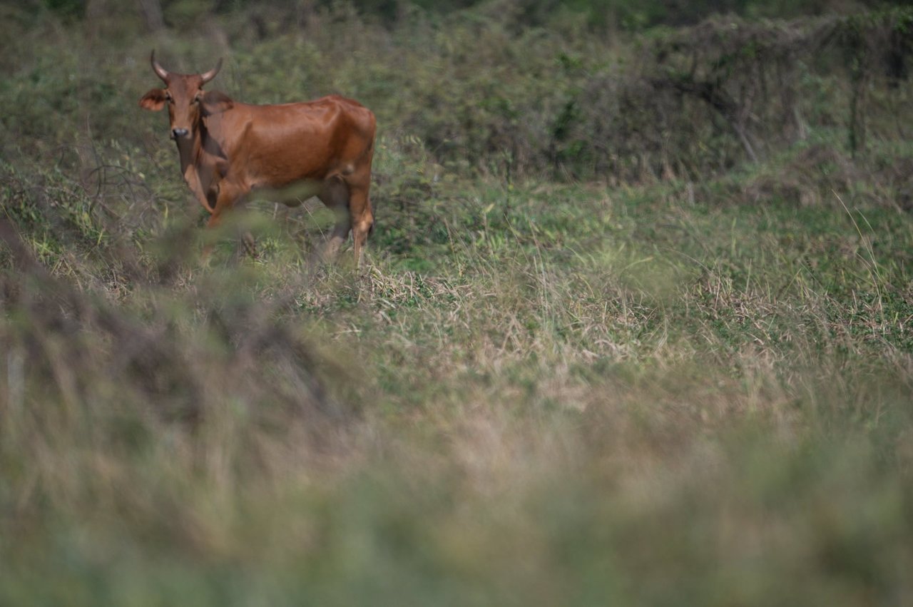 Prime 444-Acre Investment Opportunity 