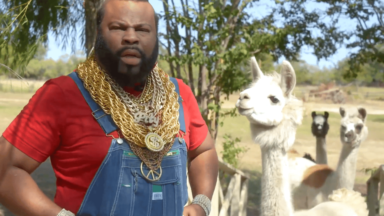 Eric and Mr. T Sell a Granbury Home