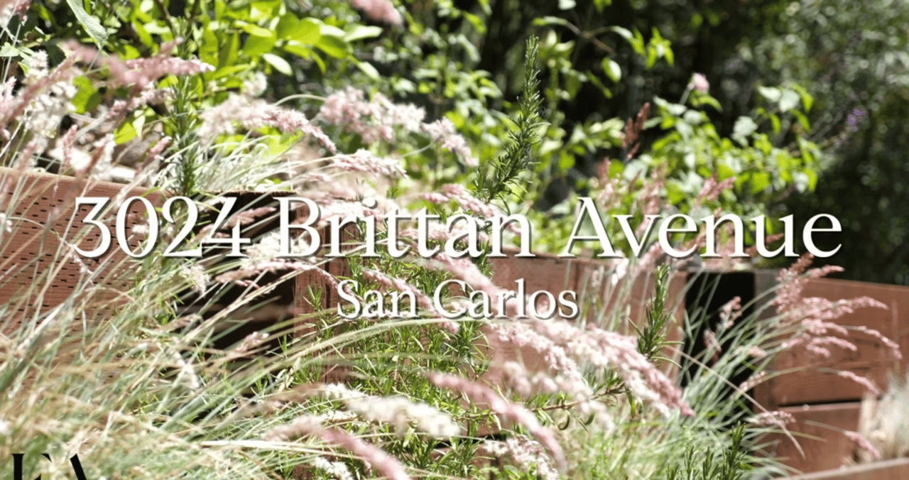 Erika Ameri Presents 3024 Brittan Ave, San Carlos in 4KBlu Skye Media, Inc.
