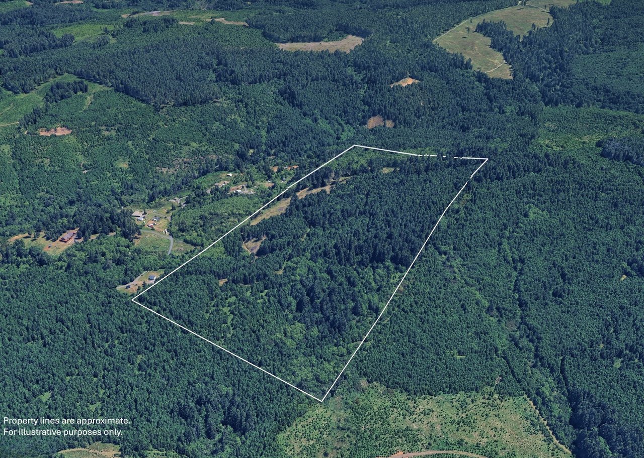 Marion Woods - Auction