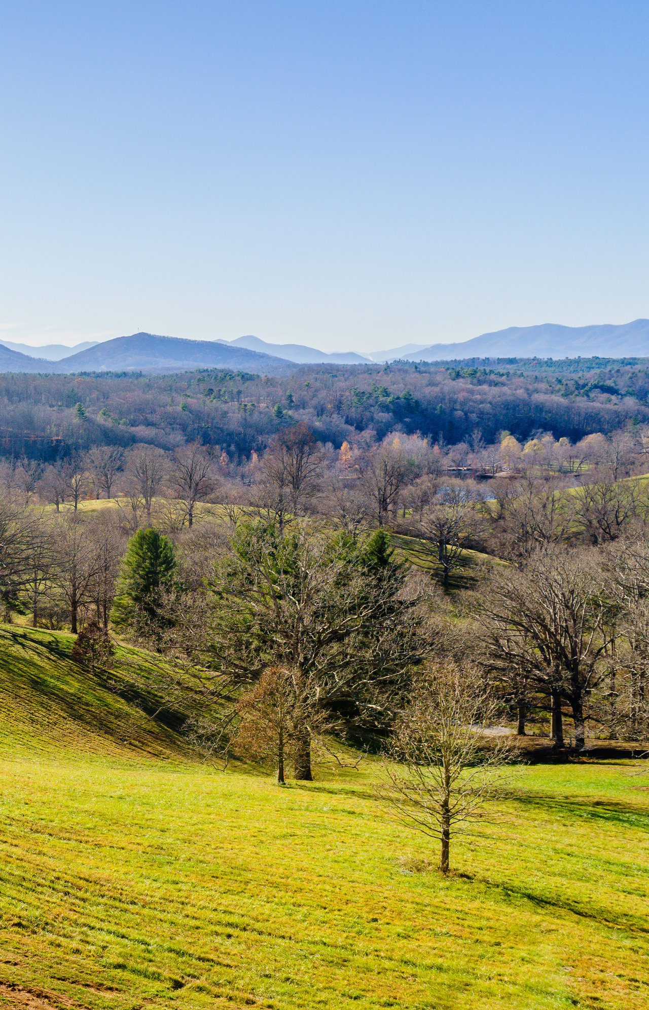 DIstant Mountain real estate by Vignette Realty