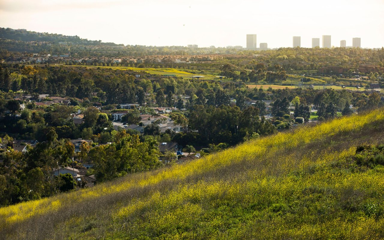 Turtle Rock Hills