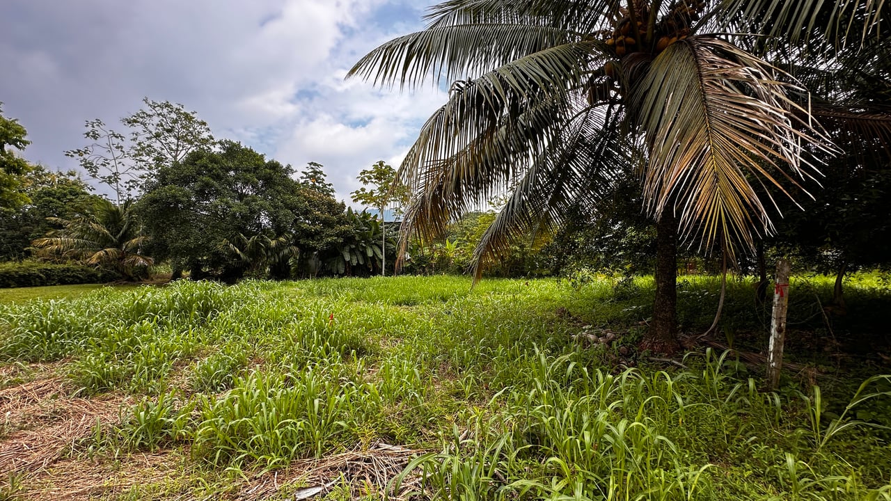 Beach Area Lot in Quiet Corner on Uvita Bahia