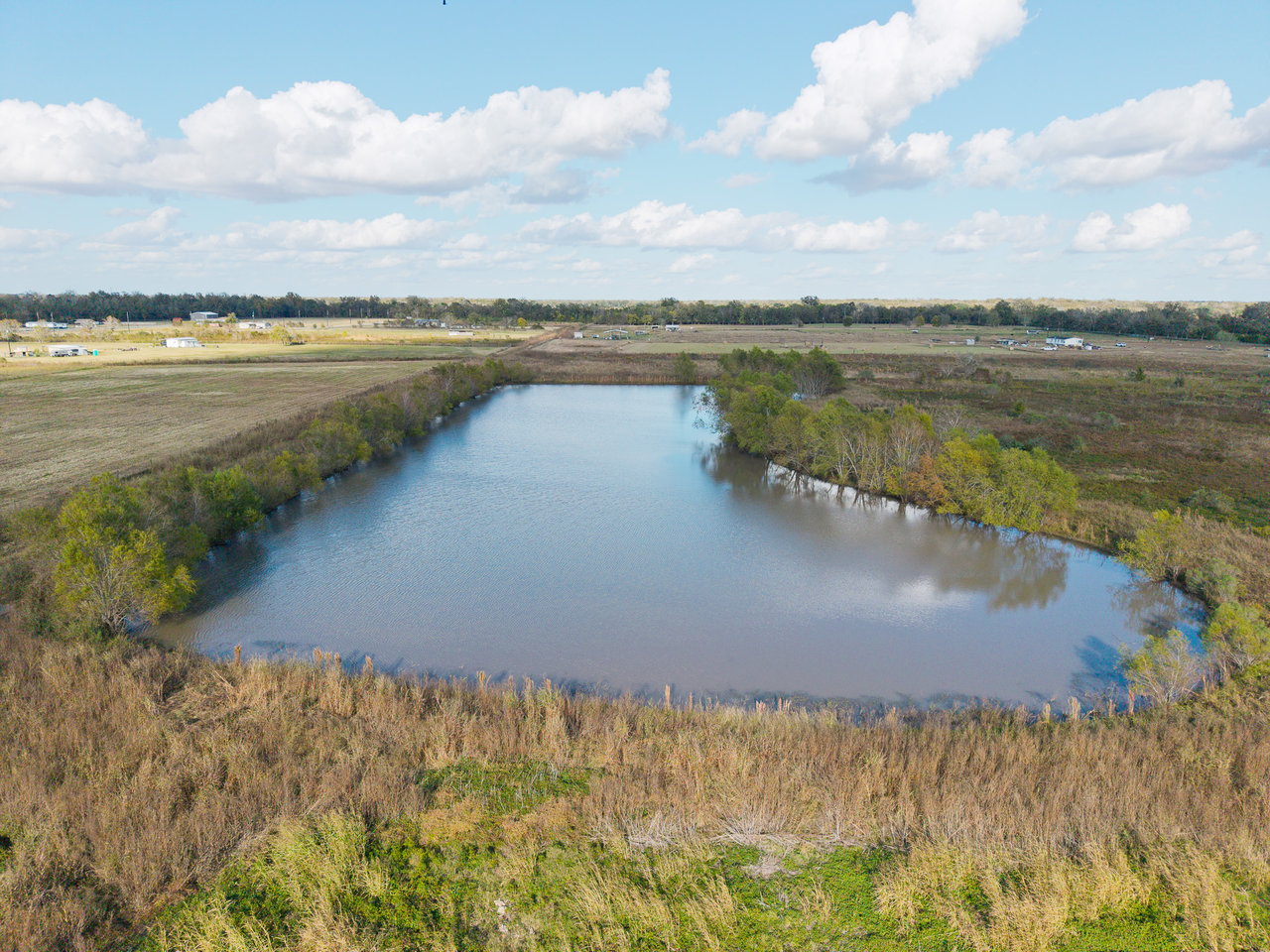 20 Acres of Land for Sale with Pond | Boling, TX | Aqua Terra Real Estate