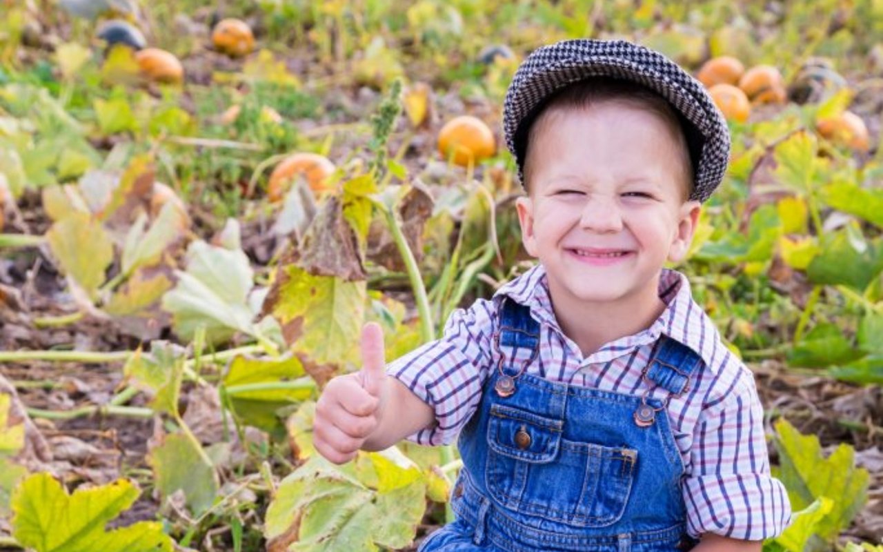 Winter- Preparing Your Vegetable Garden