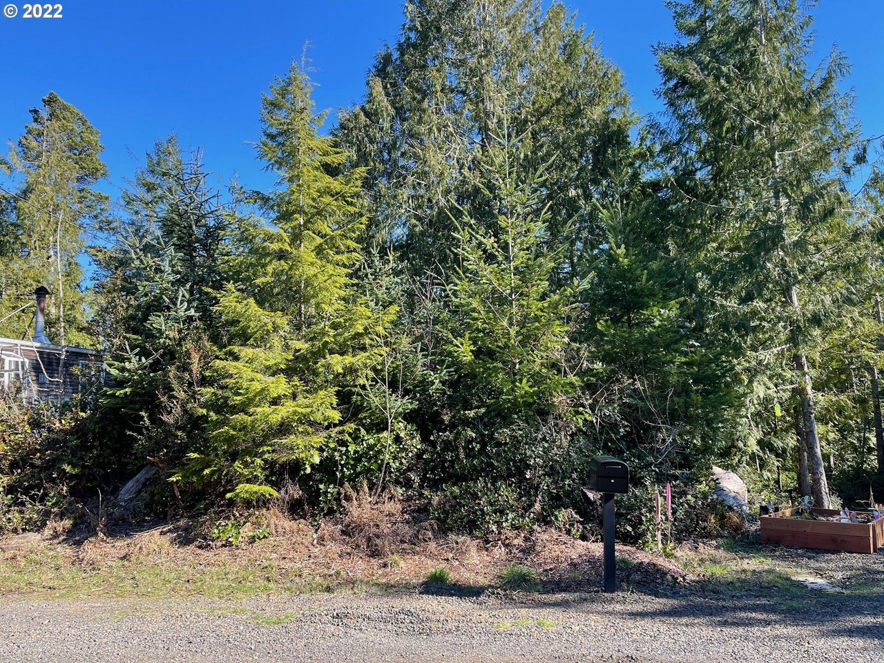 Sold forested land parcel at Sea Forest Way Unit 4900 in Nehalem, Oregon, represented by Erin Laskey of Home + Sea Realty, with RMD zoning and beach access nearby.