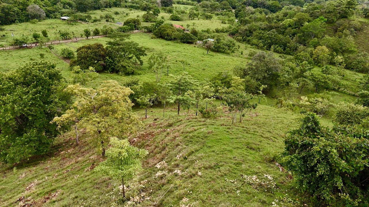 Ocean View Sanctuary in San Buenas – 4.94 Acres of Pastures & Easy Accessaccess