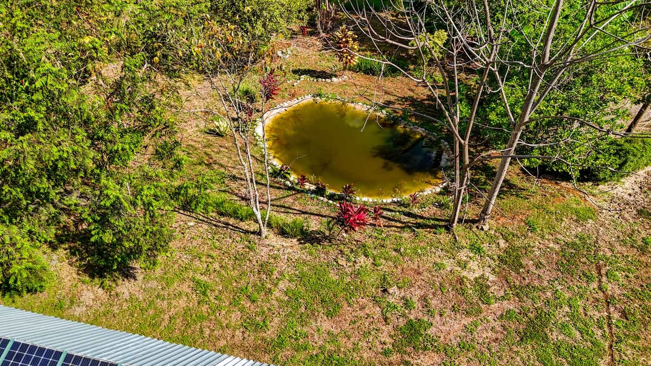 32-Acre Self-Sustainable Off-Grid Farm Near Ojochal with House, Solar Power & River