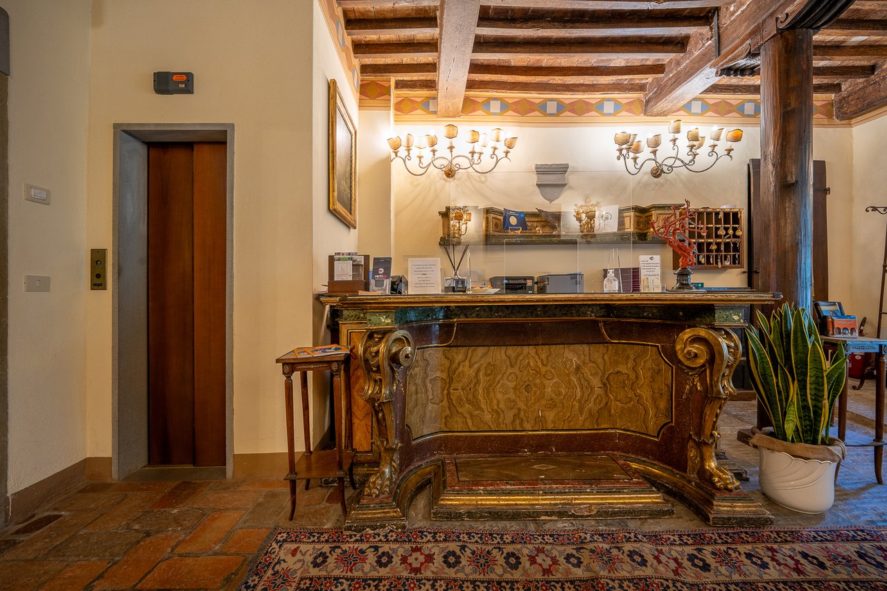 VILLA MECENATE