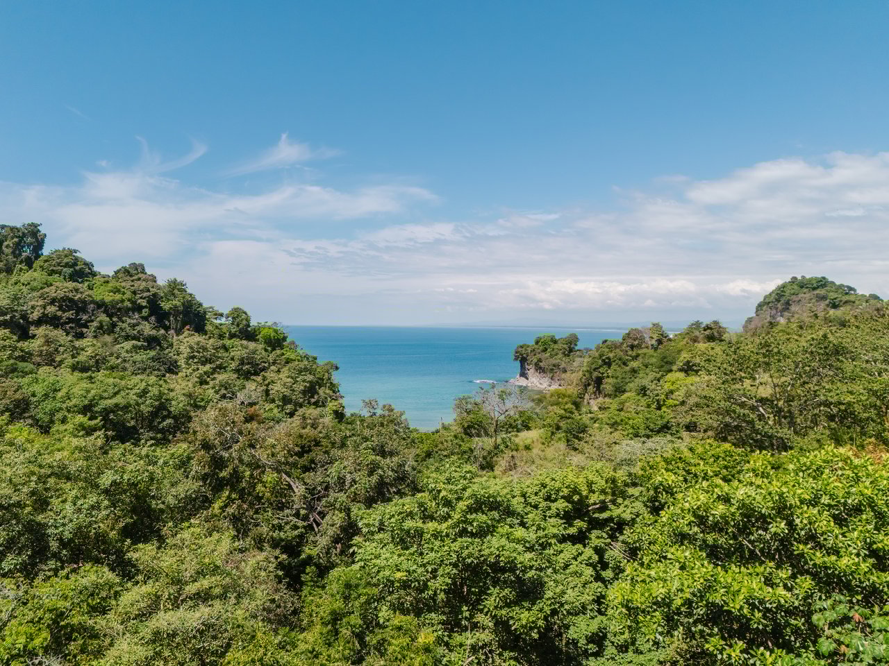 Casa Java – Newly Built Luxury Jungle Estate Near Playa La Vaca