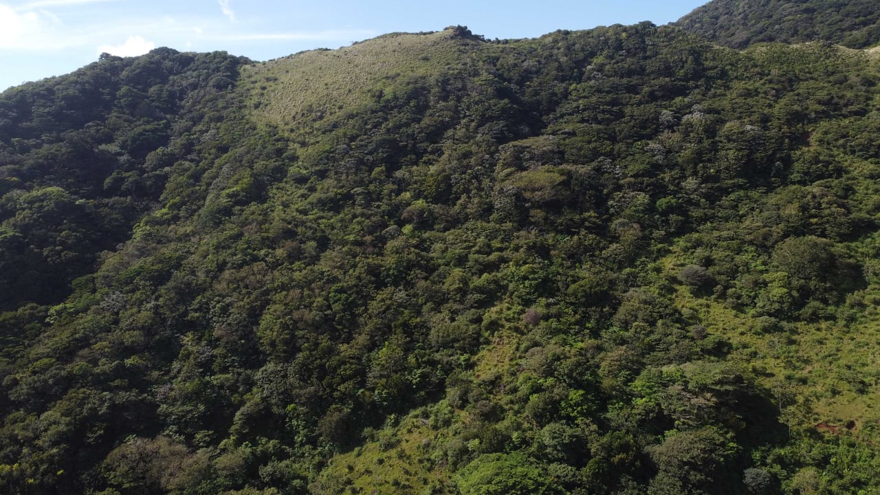 Rio Chiquito Farm | This farm offers an expansive canvas to bring your dreams to life in the majestic Guanacaste mountain rainforest region.