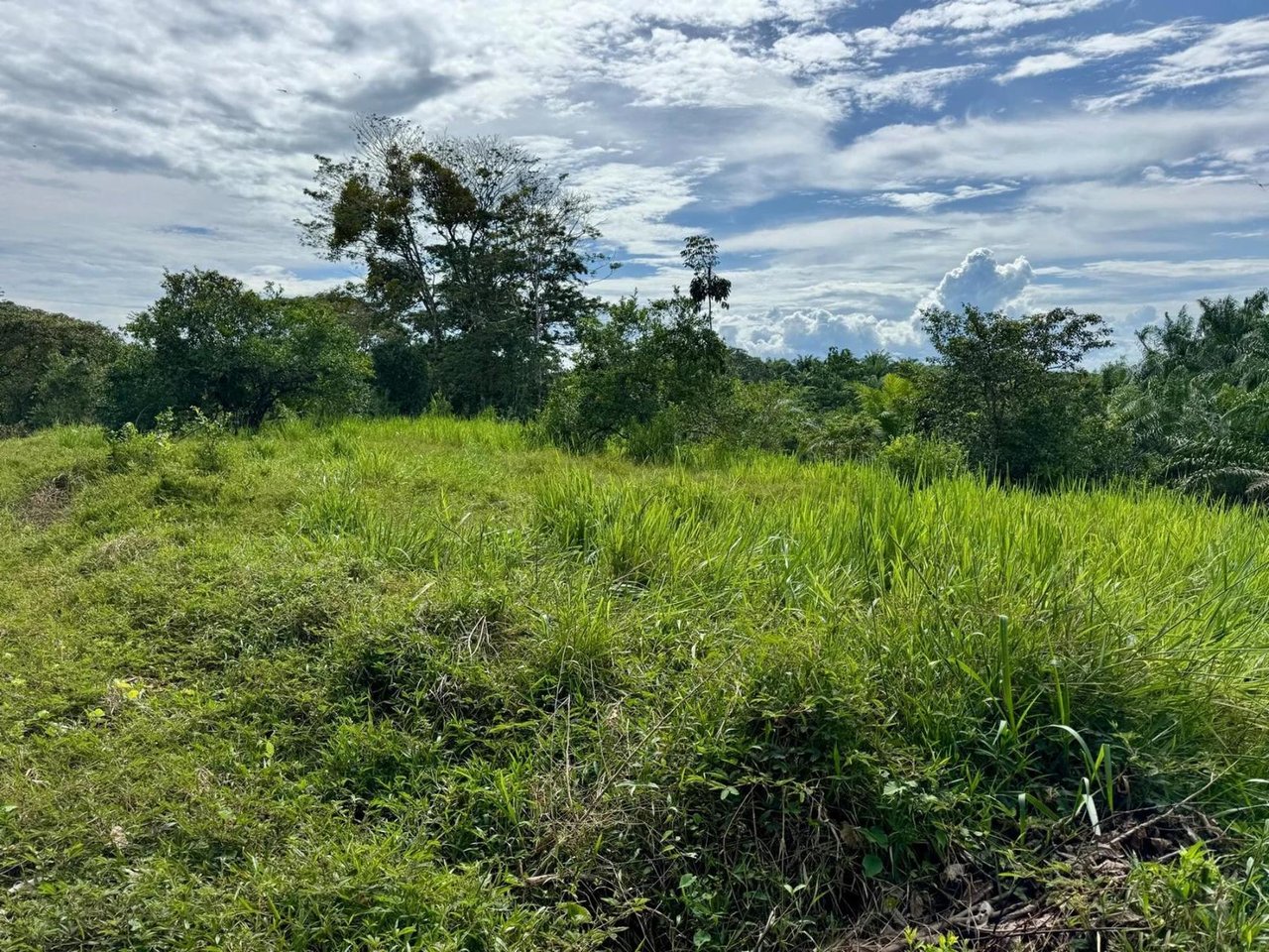Ocean View Creek Side Land, Osa, Puntarenas