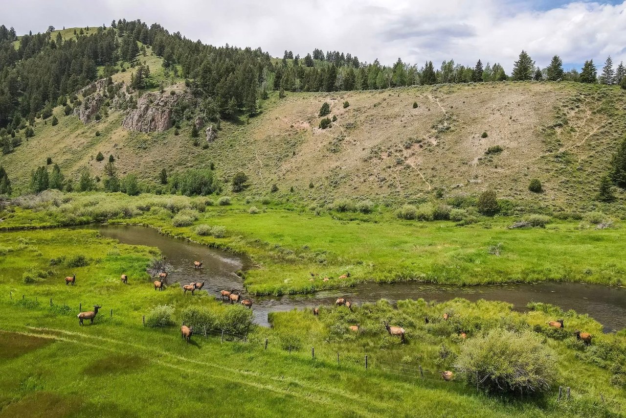 Spring Creek Confluence