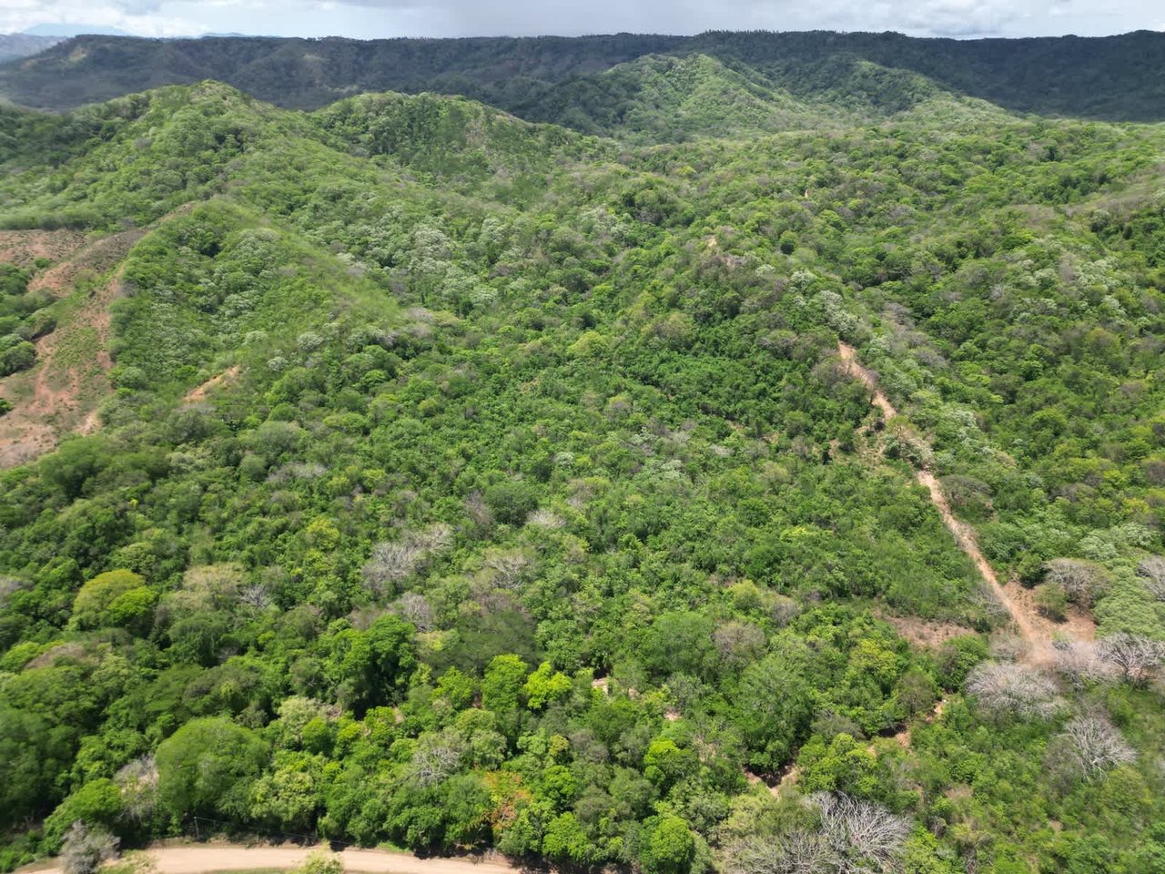 Finca Los Tamarindos