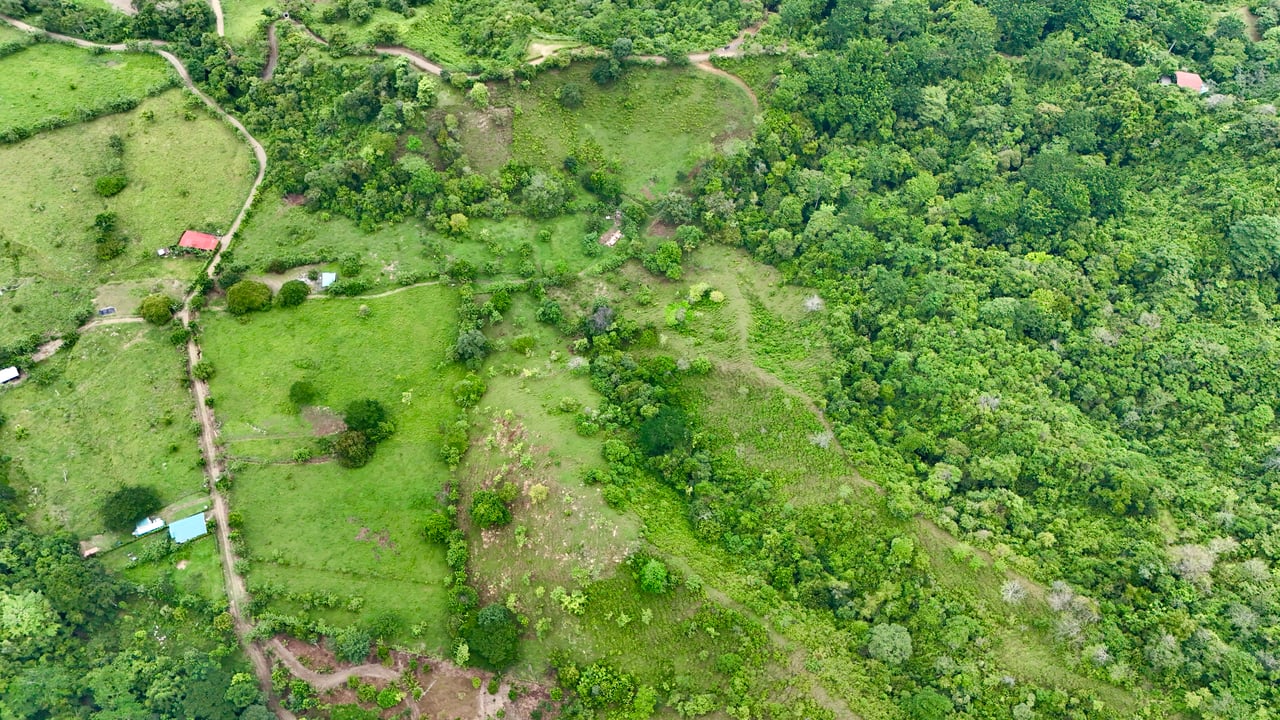 Ocean View Sanctuary in San Buenas – 4.94 Acres of Pastures & Easy Accessaccess