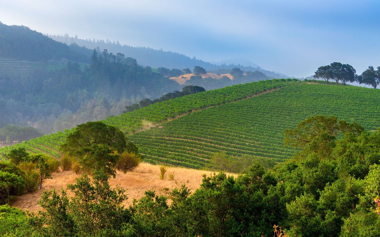 Napa