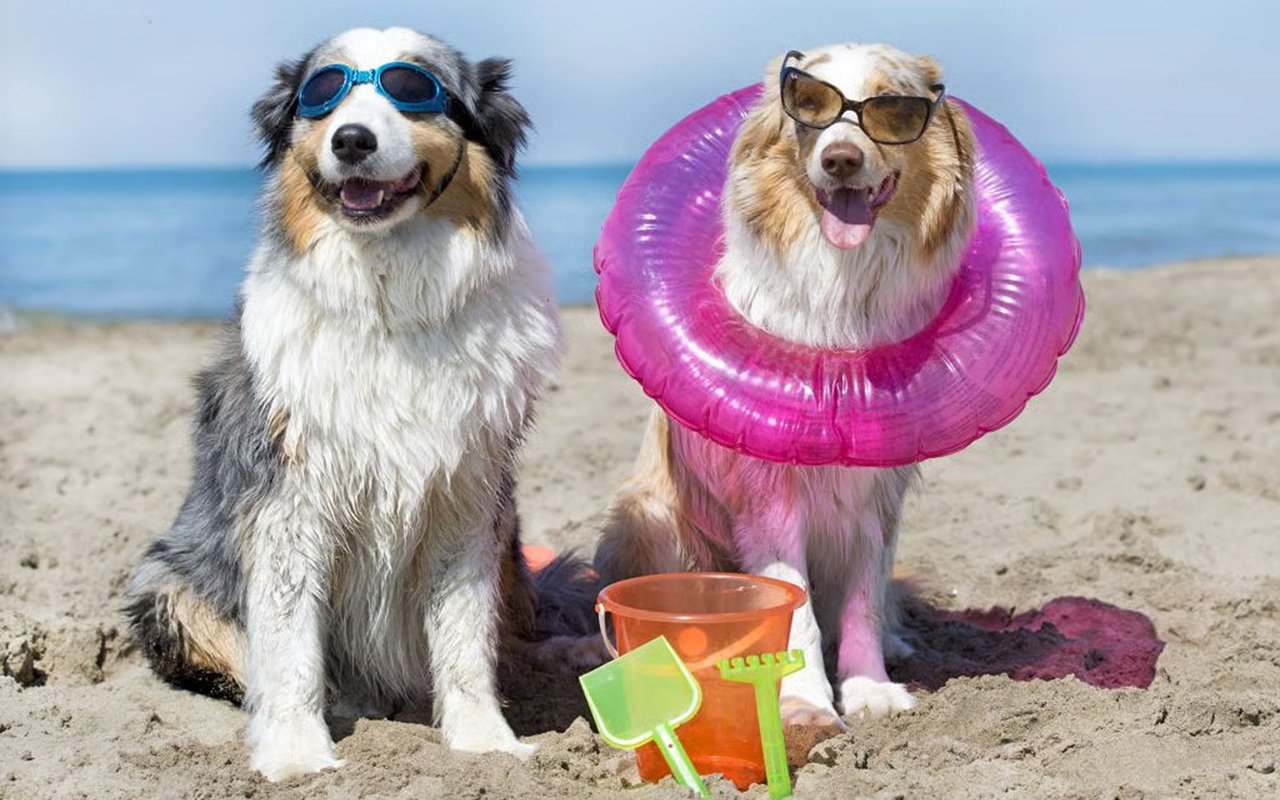 Dog Days of Summer Got Your Down? Come Tour 6 Cool Luxury Homes