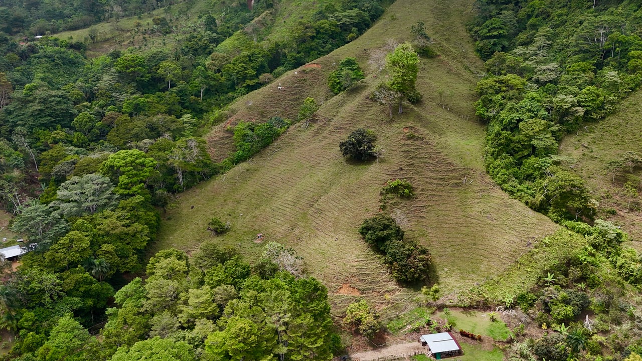 Gorgeous Land in San Luis Morete - Uvita - Over 17 Acres