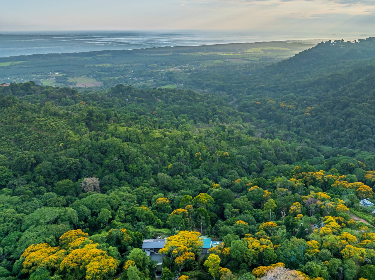 Casa OdiSea – Private Ocean View Estate with Waterfall Access in Portasol, Costa Rica