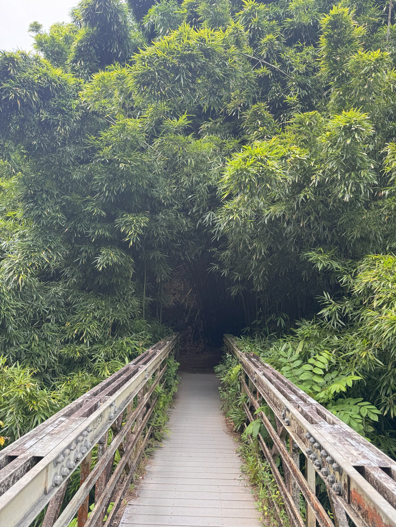 Hiking the Pipiwai Trail in Hana