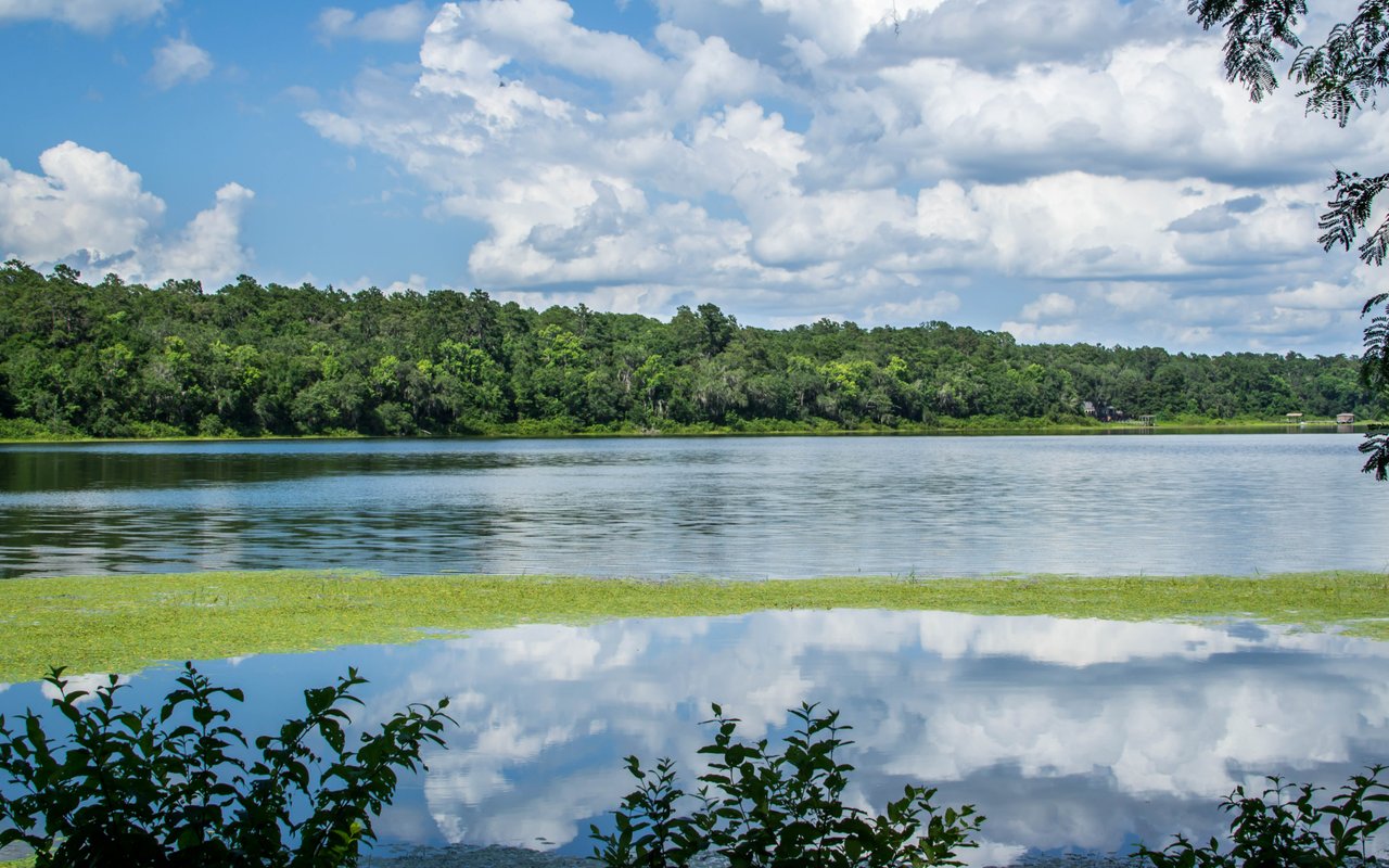 Lake Alfred