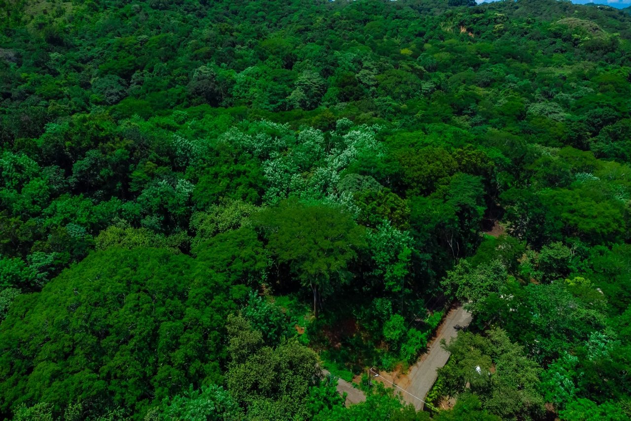 Lot B – 5000m2 in Santa Rosa | FINANCING AVAILABLE!