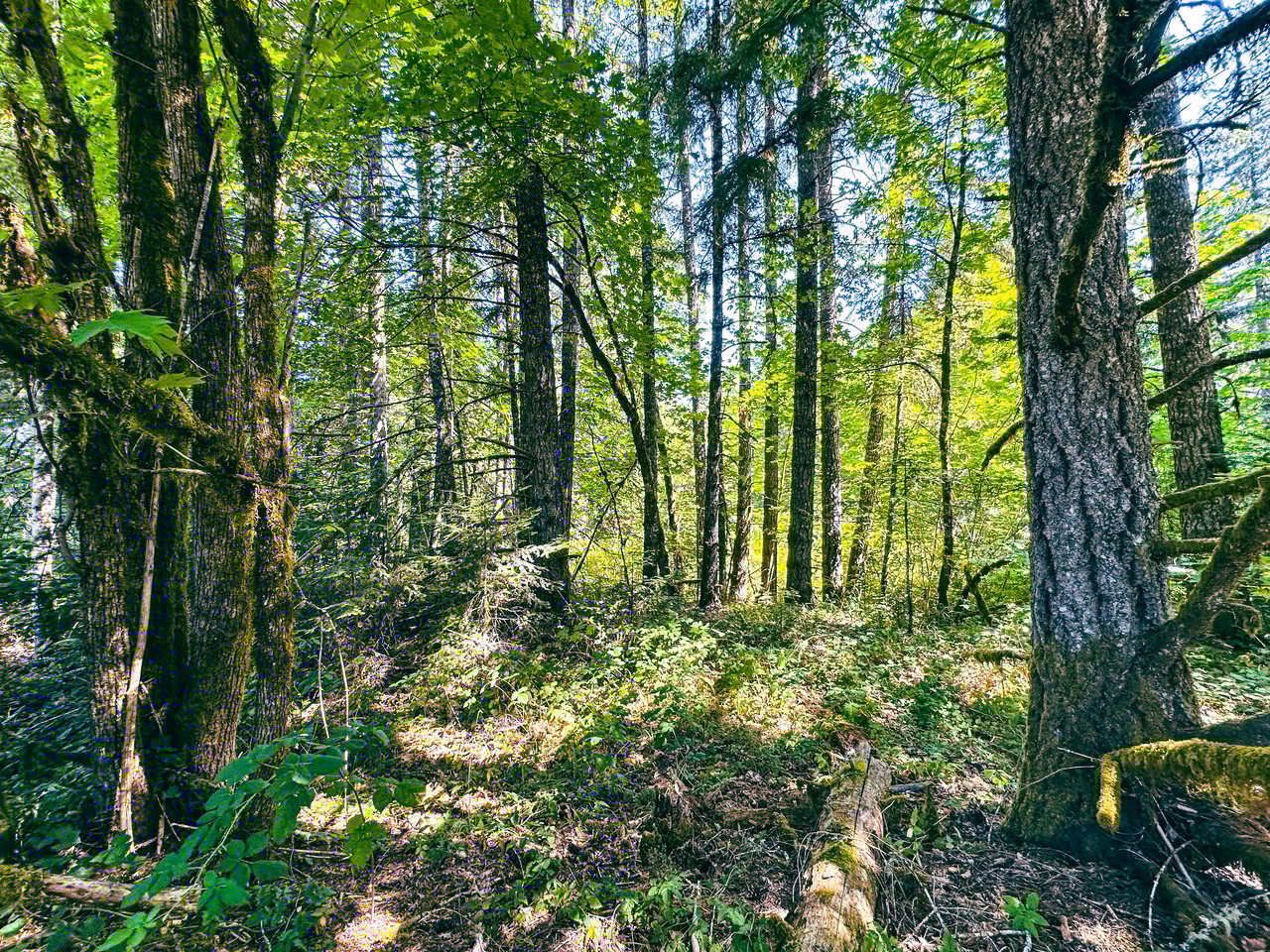 London Grove Riverfront