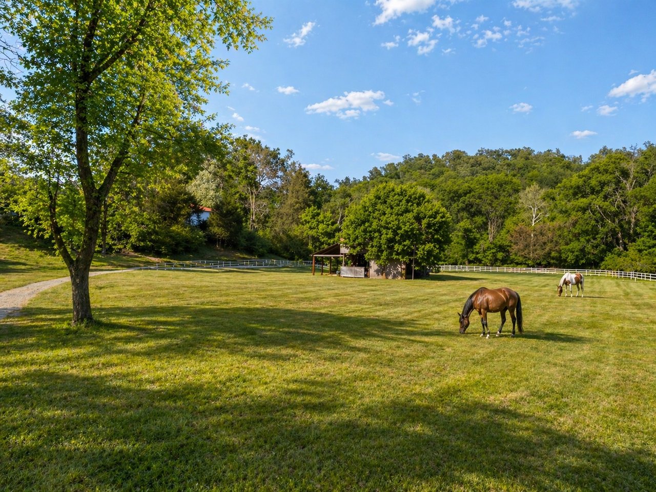 Robertson County