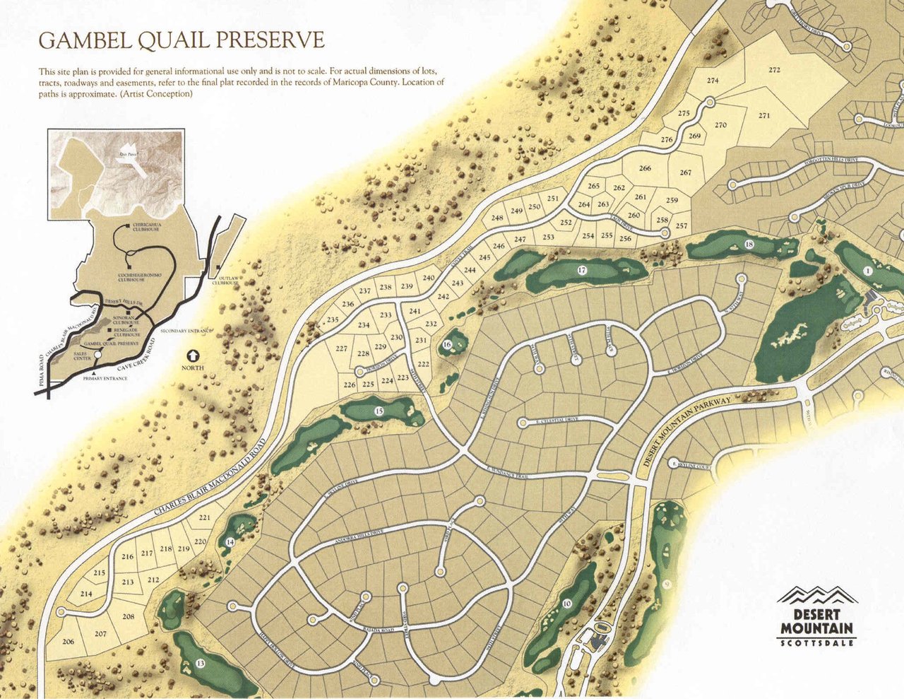 Gambel Quail