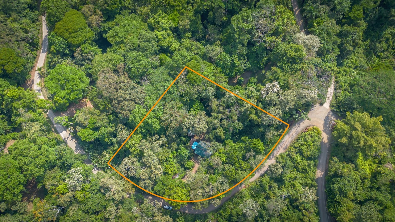 Private Jungle Oasis ! 1 Bed, 1 Bath Hatillo Haven