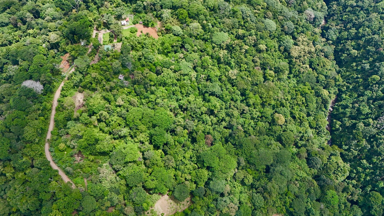 Uvita Development Farm - 45.4 Acres Estate