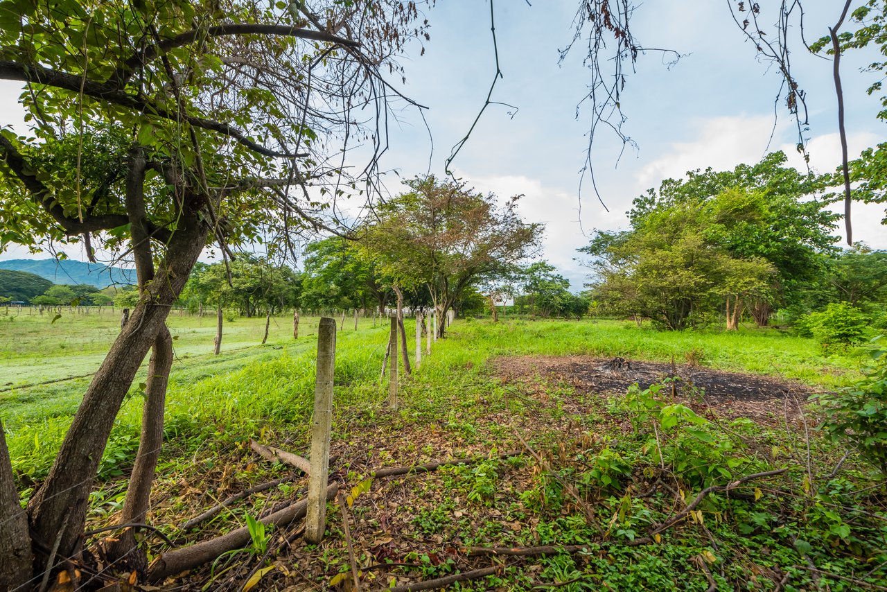 La Garita de Tamarindo Lot |1.3-Acre Home Site Near Top Beaches, Private, Scenic, and Well-Located
