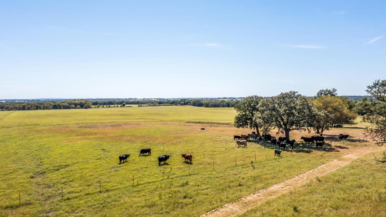 Mills County